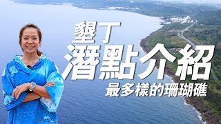 【潛水】墾丁水肺潛水兩天一夜，船潛岸潛看遍全台珊瑚最多樣的海底世界｜一輪的運動日常 後壁湖 獨立礁 海扇 [upl. by Sidell]