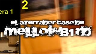 El aterrador caso de Mellowb1rd [upl. by Romina]