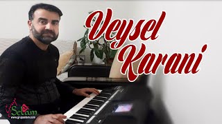 Veysel Karani İlahisi  Salih Demir [upl. by Harsho]