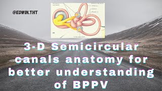 3D Semicircular canals anatomy for better understanding of BPPVs pathophysiology [upl. by Nanyt671]