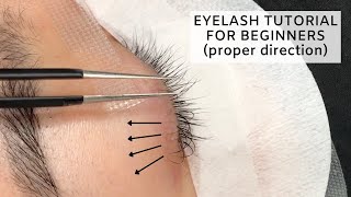 Individual Lashes Tutorial CLOSE UP [upl. by Imhskal595]