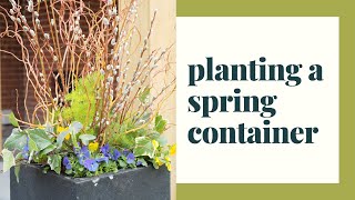 Planting a Spring Container [upl. by Kcirdehs]