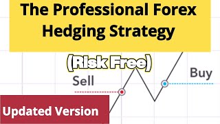 Professional Risk Free Forex Hedging Strategy [upl. by Randa405]