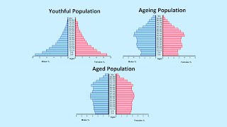 How to Read a Population Pyramid [upl. by Nevaed]