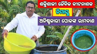 Powerful organic pesticide Neemastra How to prepare [upl. by Atekram]