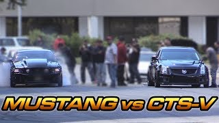 CTSV 2 vs Coyote Mustang [upl. by Blackstock947]