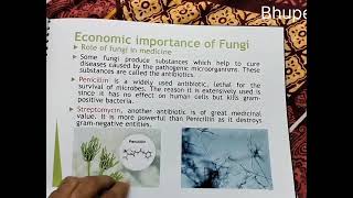 Economic Importance Of Algae  Fungi Lichen [upl. by Annoyi]