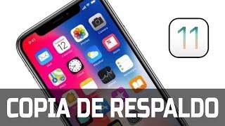 ¿Cómo crear una copia de seguridad de un iPhone 678X [upl. by Sirama91]