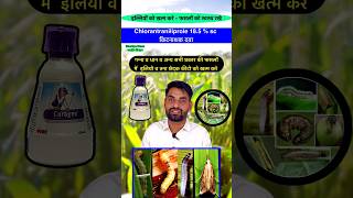 कोराजन कीटनाशक की पूरी जानकारी  Coragen Insecticide  Coragen kitnashak coragen insecticides [upl. by Annoved]