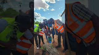 Planting Trees in MaasaiLand [upl. by Deva]