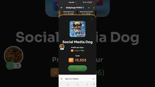 BABY DOGE PAWS  HOW TO QUICKLY STEP UP YOUR PROFIT PER HOUR [upl. by Abagail]