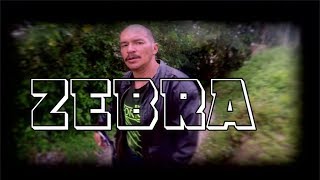 ZEBRA amp KALEX amp DJ FONXZ ALMAS URBANAS VIDEO OFICIAL 2019 zebra rap [upl. by Keel]