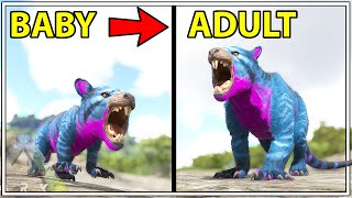 GROWING A BABY THYLA INTO AN ADULT  PLAY AS DINO  ARK SURVIVAL EVOLVED [upl. by Marcos]