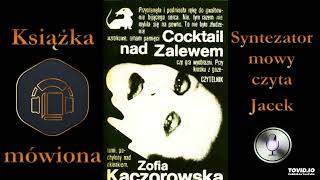 3 Jerzy Broński i Leszek Warowski Cocktail nad Zalewem audiobook cz 2  5 [upl. by Johann648]