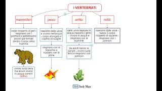 videomappa  scienze  11 gli animali i vertebrati [upl. by Diao]