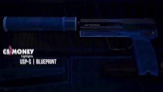 CSGO  USPS  Blue Print [upl. by Adlesirc81]