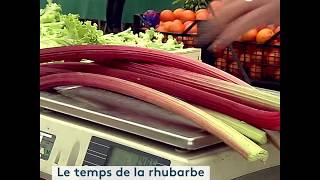 La rhubarbe en compote tarte ou confiture [upl. by Manas119]