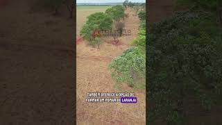 Fazenda à venda em União De Minas com 30 alqueires mineiros  Triangulo Mineiro  Minas Gerais [upl. by Gardas]