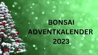 BONSAI ADVENTKALENDER 2023 [upl. by Andrews]