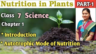 Nutrition in Plants  Part 1  NCERT Science Class 7 Chapter 1 [upl. by Nhaj]