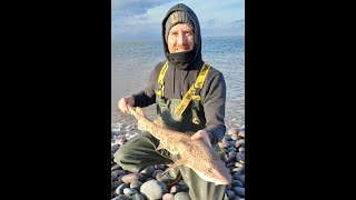 Baltic Fishing In The Bristol Channel seafishing seafishinguk [upl. by Eeltrebor]