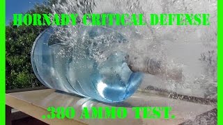 Hornady Critical Defense 380 Ammo Test Gel Water amp Fruit [upl. by Ennoryt801]