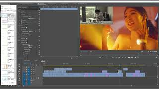 Premiere Pro realtime playback performance issues [upl. by Layor]