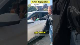 When the dog and girl protest injustice together 😱 inenglish [upl. by Hamfurd82]