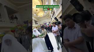 ТУЙДА КИЁВ ОНАСИГА ГУЛ БЕРМОКЧИ ЭДИ cover music свадьба musica тикток wedding тренд [upl. by Laktasic362]