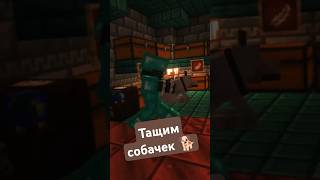 Тащим собачек 🐕 minecraftvr vr survival adventure game minecraft coop [upl. by Sheffield]