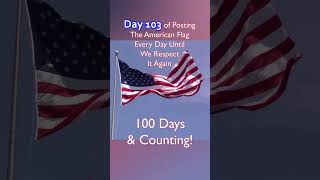 Why Does This YouTuber Post the US Flag EVERY DAY  Day 103 [upl. by Mylor]