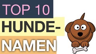 Top 10 Hundenamen [upl. by Korwin]