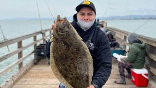 Candlestick Point Fishing Pier San Francisco Bay Halibut Fishing [upl. by Anaidiriv771]