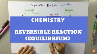 Chemistry  Reversible Reaction Equilibrium [upl. by Ainiger]