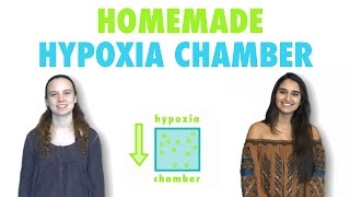 Homemade Hypoxia Chamber [upl. by Alarick]