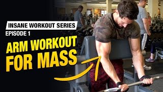 Arm Workout For Mass  27 Sets Insane Workout Series Ep 1 [upl. by Yrrab988]