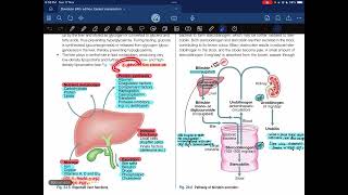 Hepatology 5th6th lecture Davidson 24th edition Medicine [upl. by Aislehc]