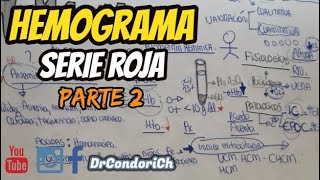 HEMOGRAMA COMPLETO Serie Roja parte 2 interpretación clínica [upl. by Iznil]