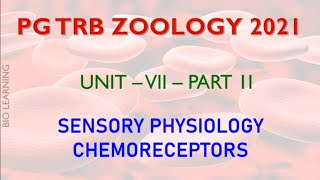 PG TRB ZOOLOGY UNIT  7 PART II  CHEMORECEPTORS [upl. by Nac981]