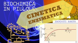 Cinetica enzimatica di Micaelis e Menten [upl. by Neehcas]