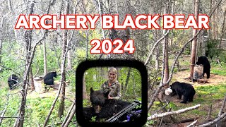 Black bears everywhere  Kaits archery black bear 2024 [upl. by Kimitri]