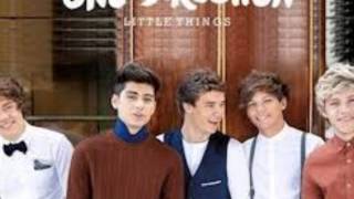 Little things Version cumbia  One direction Tato Dj [upl. by Greer893]