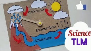 Water Cycle Science Working Model Water Cycle Science TLM Water Cycle Science Project Easy [upl. by Hagi]