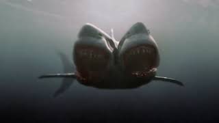 2 headed shark attack kirsten death [upl. by Gannie764]