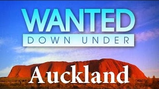 Wanted Down Under S11E18 Maguire Quinn Auckland 2017 [upl. by Watson625]