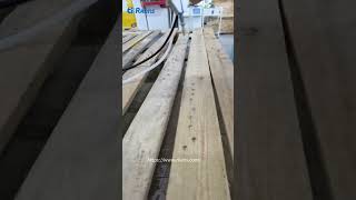 Tapping screw driving and fastening into wooden machine with auto screw feeder [upl. by Muhammad]