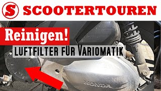 Varioluftfilter  Öfter reinigen  Geht fix  Honda Forza 300 [upl. by Yrram]