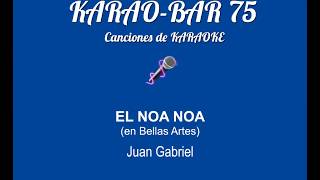 Juan Gabriel El noa noa en Bellas Artes KARAOKE [upl. by Flam67]