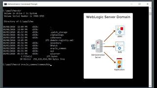 Get Started with the WebLogic Server Developer Distribution [upl. by Nnaesor825]