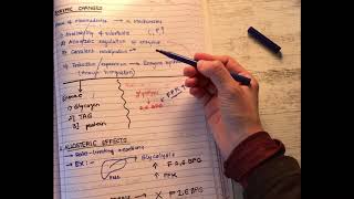 The Feedfast Cycle Introduction In Hindi [upl. by Htrowslle]